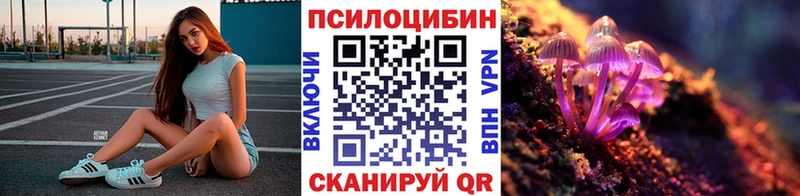 закладка площадка наркотические препараты Галлюциногенные грибы Magic Shrooms Углегорск